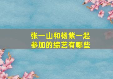 张一山和杨紫一起参加的综艺有哪些