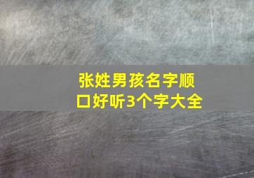 张姓男孩名字顺口好听3个字大全