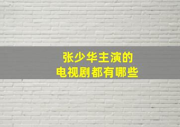 张少华主演的电视剧都有哪些