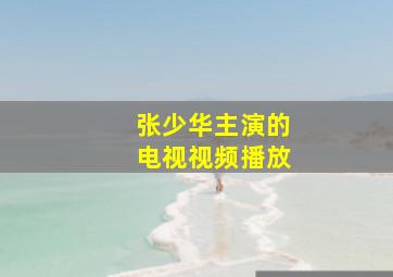 张少华主演的电视视频播放