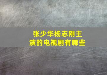 张少华杨志刚主演的电视剧有哪些