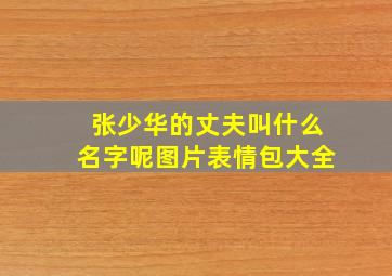 张少华的丈夫叫什么名字呢图片表情包大全