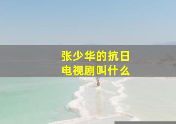 张少华的抗日电视剧叫什么