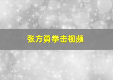 张方勇拳击视频