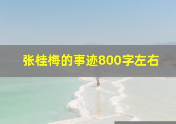 张桂梅的事迹800字左右