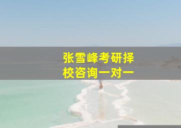 张雪峰考研择校咨询一对一