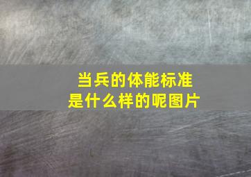 当兵的体能标准是什么样的呢图片