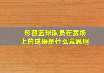 形容篮球队员在赛场上的成语是什么意思啊