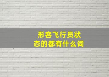 形容飞行员状态的都有什么词