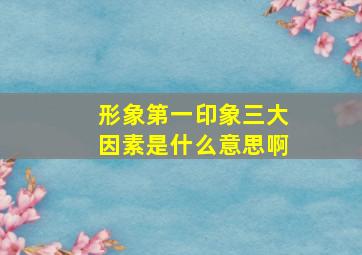 形象第一印象三大因素是什么意思啊