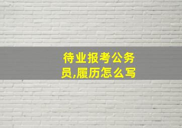 待业报考公务员,履历怎么写