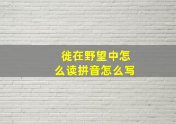 徙在野望中怎么读拼音怎么写