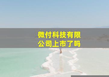 微付科技有限公司上市了吗