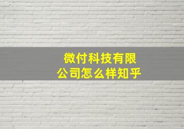 微付科技有限公司怎么样知乎