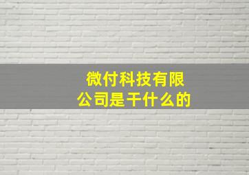 微付科技有限公司是干什么的