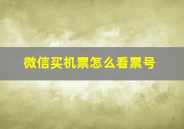 微信买机票怎么看票号