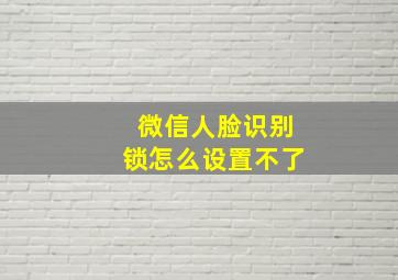 微信人脸识别锁怎么设置不了