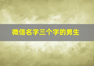 微信名字三个字的男生