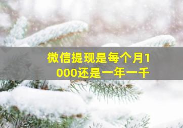 微信提现是每个月1000还是一年一千