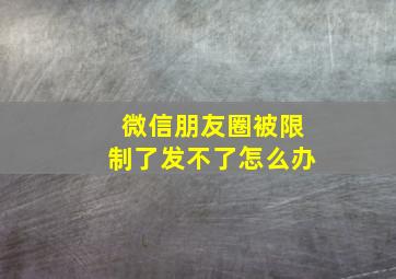 微信朋友圈被限制了发不了怎么办