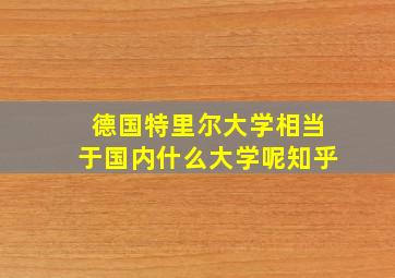 德国特里尔大学相当于国内什么大学呢知乎