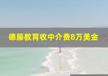 德藤教育收中介费8万美金