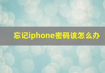 忘记iphone密码该怎么办