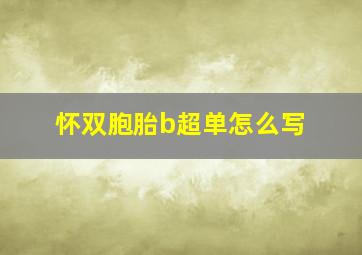 怀双胞胎b超单怎么写