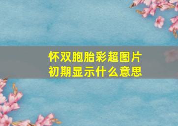 怀双胞胎彩超图片初期显示什么意思