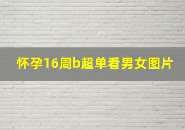 怀孕16周b超单看男女图片