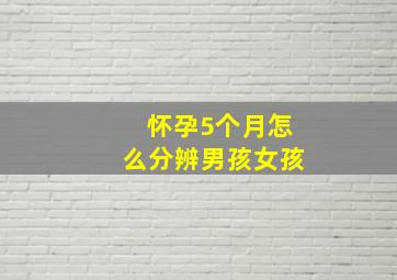 怀孕5个月怎么分辨男孩女孩