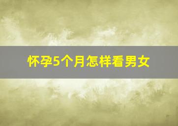 怀孕5个月怎样看男女