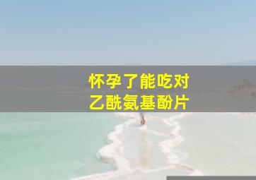 怀孕了能吃对乙酰氨基酚片