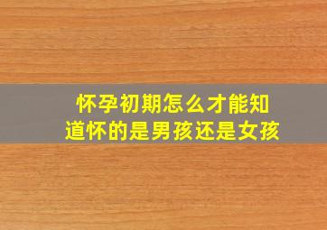 怀孕初期怎么才能知道怀的是男孩还是女孩