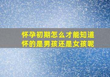 怀孕初期怎么才能知道怀的是男孩还是女孩呢