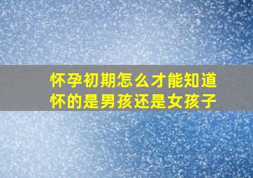 怀孕初期怎么才能知道怀的是男孩还是女孩子