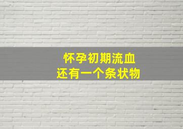 怀孕初期流血还有一个条状物