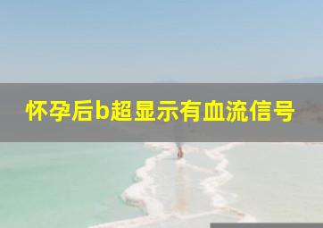 怀孕后b超显示有血流信号