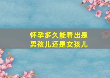 怀孕多久能看出是男孩儿还是女孩儿