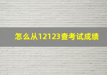 怎么从12123查考试成绩