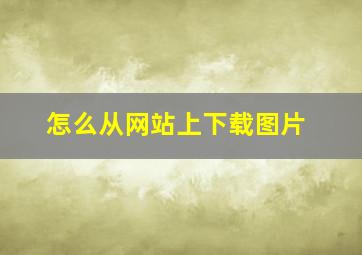 怎么从网站上下载图片