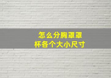 怎么分胸罩罩杯各个大小尺寸