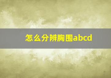 怎么分辨胸围abcd