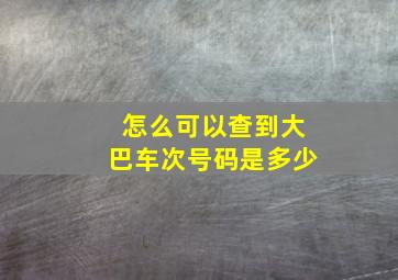 怎么可以查到大巴车次号码是多少