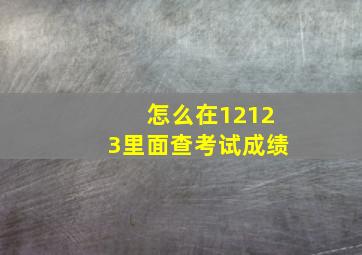 怎么在12123里面查考试成绩