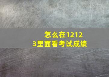 怎么在12123里面看考试成绩