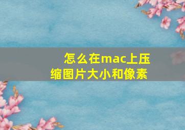 怎么在mac上压缩图片大小和像素