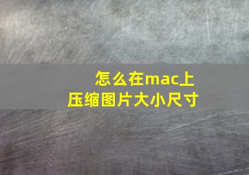 怎么在mac上压缩图片大小尺寸