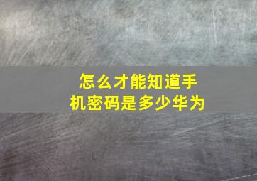 怎么才能知道手机密码是多少华为