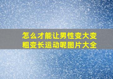 怎么才能让男性变大变粗变长运动呢图片大全